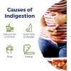 imageBoiron Acidil Tablets for Relief of Acid Reflux Heartburn Indigestion and Upset Stomach  120 Count120 Count