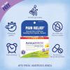 imageBoiron Arnica Montana 200CK Homeopathic Medicine for Pain Relief Muscle Pain ampamp Stiffness Swelling from Injuries ampamp Bruises  3 Count 240 Pellets