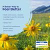 imageBoiron Arnica Montana 200CK Homeopathic Medicine for Pain Relief Muscle Pain ampamp Stiffness Swelling from Injuries ampamp Bruises  3 Count 240 Pellets