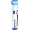imageBoiron Arnica Montana 30C for Muscle Pain Stiffness Swelling from Injuries ampamp Bruises  80 Pellets80 Pellets Pack of 3