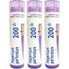 imageBoiron Hypericum Perforatum 200CK 80 Pellets Homeopathic Medicine for Nerve Pain200ck