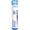 imageBoiron Symphytum Officinale 6C Homeopathic Medicine for Bone Trauma  80 PelletsSymphytum Officinale  Ruta Graveolens 30C
