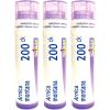 imageBoiron Arnica Montana 200Ck for Muscle Pain Stiffness Swelling from Injuries ampamp Bruises  80 Pellets3 Count Pack of 1