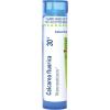 imageBoiron Calcarea Fluorica 200Ck Homeopathic Medicine for Sprains  80 Pellets30c