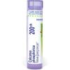 imageBoiron Calcarea Phosphorica 200C Homeopathic Medicine for Growing Pains  80 Pellets