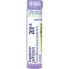imageBoiron Eupatorium Perfoliatum 30C Homeopathic Medicine for Stiffness ampamp Bone Pain  80 Pellets200ck
