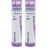 imageBoiron Hekla Lava 1M Homeopathic Medicine for Toothache  80 Pellets80 Pellets Pack of 2