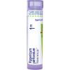 imageBoiron Hypericum Perforatum 1M Homeopathic Medicine for Nerve Pain  80 Pellets