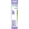 imageBoiron Hypericum Perforatum 200CK 80 Pellets Homeopathic Medicine for Nerve Pain200ck
