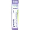imageBoiron Ignatia Amara 1M for Apprehension ampamp Hypersensitivity to Stress  80 Pellets