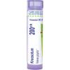imageBoiron Kreosotum 200Ck Homeopathic Medicine for Gingivitis  80 Pellets