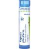 imageBoiron Magnesia Phosphorica 30C Homeopathic Medicine for Abdominal Pain  80 Pellets30c