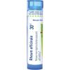 imageBoiron Rheum Officinale 30C for Minor Digestive Disorder Relief  80 Pellets