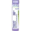 imageBoiron Sanguinaria Canadensis 200Ck for Hot Flashes with Periodic Headaches  80 Pellets