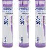 imageBoiron Sepia 200Ck Homeopathic Medicine for Mood Swings and Irritability  80 Pellets3 Count