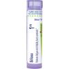 imageBoiron Silicea 1M for Fatigue ampamp Irritability Due to Overwork  80 Pellets