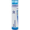 imageBoiron Symphytum Officinale 6C Homeopathic Medicine for Bone Trauma  80 PelletsSymphytum Officinale  Ruta Graveolens 30C