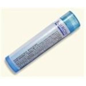 imageBOIRON USA  Stramonium 200ck Health and Beauty by BOIRON USA