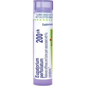 imageBoiron Eupatorium Perfoliatum 30C Homeopathic Medicine for Stiffness ampamp Bone Pain  80 Pellets200ck