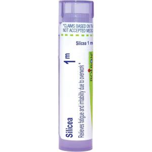 imageBoiron Silicea 1M for Fatigue ampamp Irritability Due to Overwork  80 Pellets
