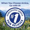 imageBoiron Arnica 30C Tablets for Pain Relief from Muscle Pain Joint Soreness Swelling from Injury or Bruises  60 Count