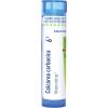 imageBoiron Calcarea Carbonica 200Ck Homeopathic Medicine for Cradle Cap  80 PelletsCalcarea Carbonica