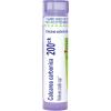 imageBoiron Calcarea Carbonica 200Ck Homeopathic Medicine for Cradle Cap  80 PelletsCalcarea Carbonica