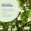 imageBoiron Euphrasia Officinalis 6C Homeopathic Medicine for Allergy Eye Relief Itching Watering Irritation or Redness  3 Count 240 Pellets