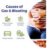 imageBoiron Gasalia Tablets for Relief from Gas Pressure Abdominal Pain Bloating and Discomfort  60 Count120 Count Pack of 1