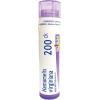 imageBoiron Hamamelis Virginiana 200Ck Homeopathic Medicine for Hemorrhoids  80 PelletsHamamelis Virginiana  Arnica Montana 3C