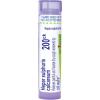 imageBoiron Hepar Sulphuris Calcareum 200Ck Homeopathic Medicine for Cough  80 Pellets200ck