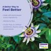 imageBoiron SleepCalm Sleep Aid for Deep Relaxing Restful Nighttime Sleep  MelatoninFree and Non HabitForming  60 Count60 Count Pack of 1