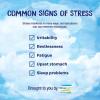imageBoiron StressCalm Tablets for Relief of Stress Anxiousness Nervousness Irritability and Fatigue  60 Count120 Count Pack of 1