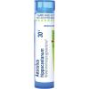 imageBoiron Aesculus Hippocastanum 200Ck Homeopathic Medicine for Hemorrhoids  80 Pellets30c