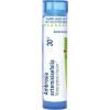 imageBoiron Ambrosia Artemisiaefolia 30C for Hay Fever ampamp Itchy Eyes  80 Pellets