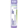 imageBoiron Anacardium orientale 200Ck for Indigestion from Overeating  80 Pellets