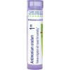 imageBoiron Antimonium Crudum 1M for Indigestion with Nausea from Overeating  80 Pellets80