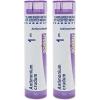 imageBoiron Antimonium Crudum 1M for Indigestion with Nausea from Overeating  80 Pellets80 Pack of 2