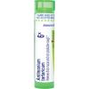 imageBoiron Antimonium Tartaricum 6X for Thick Mucus ampamp Non Productive Cough  80 Pellets
