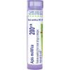 imageBoiron Apis Mellifica 200CK 80 Pellets Homeopathic Medicine for Insect Bites200ck