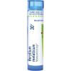 imageBoiron Beryllium Metallicum 30C for Painful Dry Cough  80 Pellets