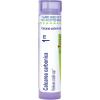 imageBoiron Calcarea Carbonica 1M for Cradle Cap  80 Pellets