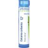 imageBoiron Calcarea Carbonica 200Ck Homeopathic Medicine for Cradle Cap  80 PelletsCalcarea Carbonica