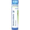 imageBoiron Calcarea Carbonica 30C Homeopathic Medicine for Cradle Cap  80 Pellets