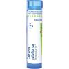 imageBoiron Calcarea Sulphurica 30C Homeopathic Medicine for Acne  80 Pellets12c