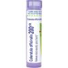 imageBoiron Calendula Officinalis 200Ck for Minor Wounds Cuts ampamp Burns  80 Pellets