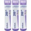 imageBoiron Cantharis 200ck Homeopathic Medicine for Blisters with Burning Pain  Pack of 3 240 PelletsCantharis 200Ck