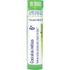 imageBoiron Cocculus Indicus 6X Homeopathic Medicine for Motion Sickness  80 Pellets