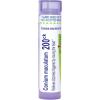 imageBoiron Conium Maculatum 200Ck for Dizziness Triggered by Moving the Head  80 Pellets