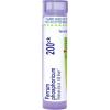 imageBoiron Ferrum Phosphoricum 6C Homeopathic Medicine for Fever  80 Pellets200ck